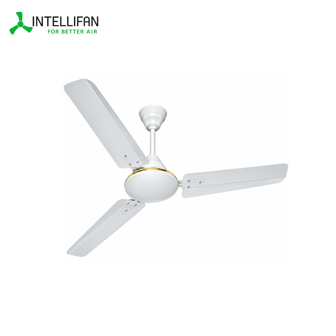 INTELLIFAN 12V BLDC Solar Ceiling Fan