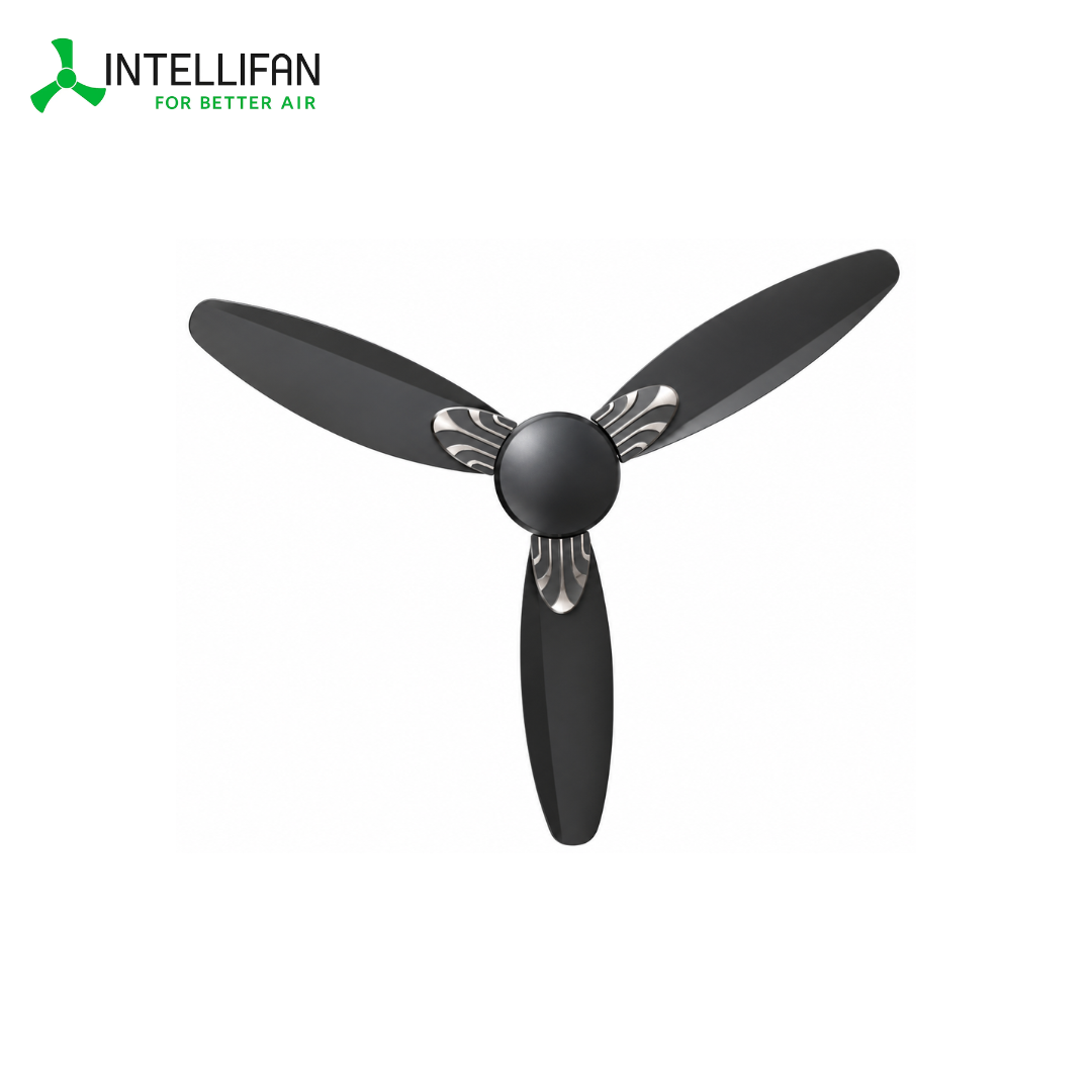 INTELLIFAN BLDC Ceiling Fan