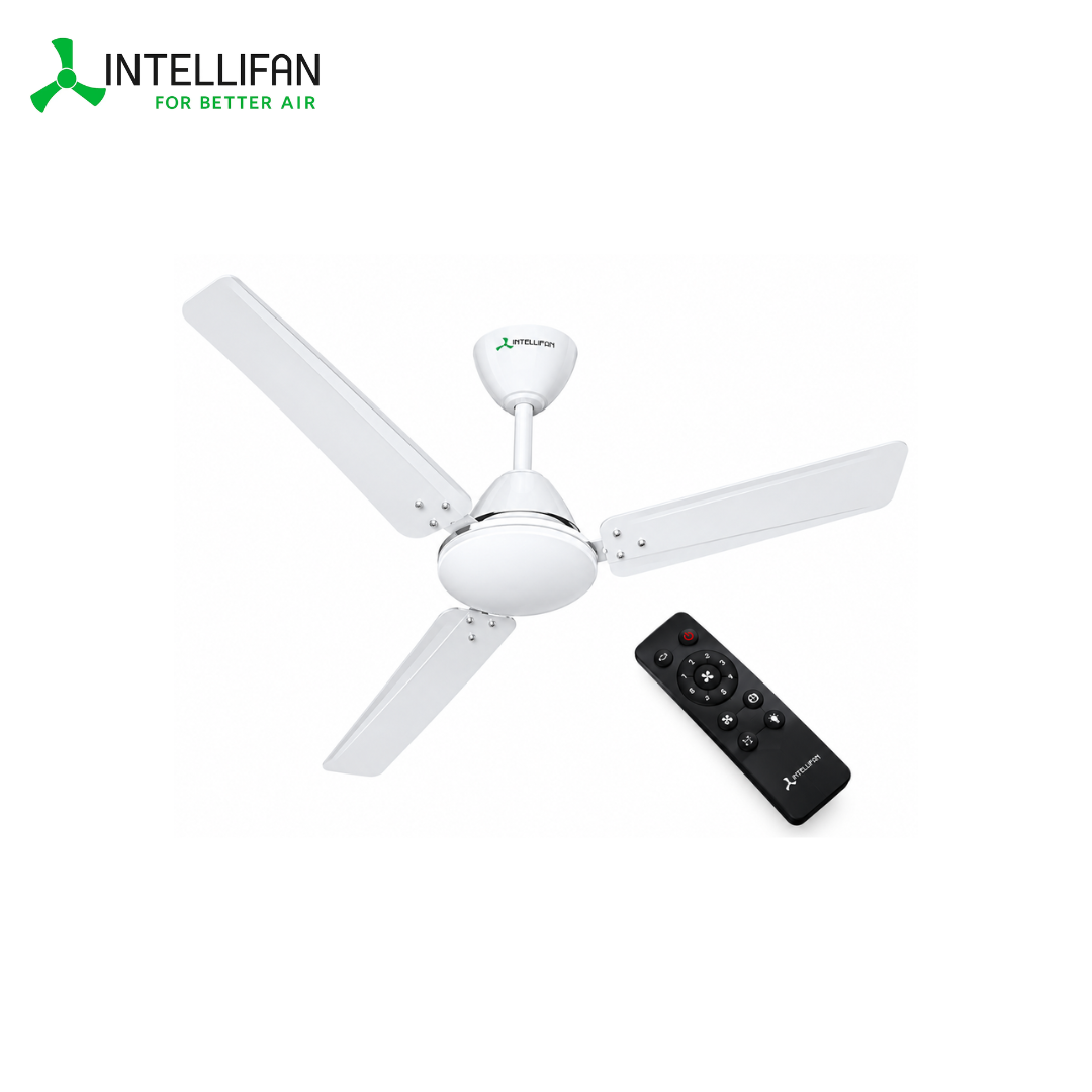 INTELLIFAN BLDC Ceiling Fan with Regulator
