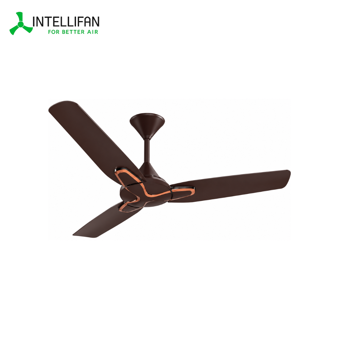INTELLIFAN Decorative BLDC Ceiling Fan